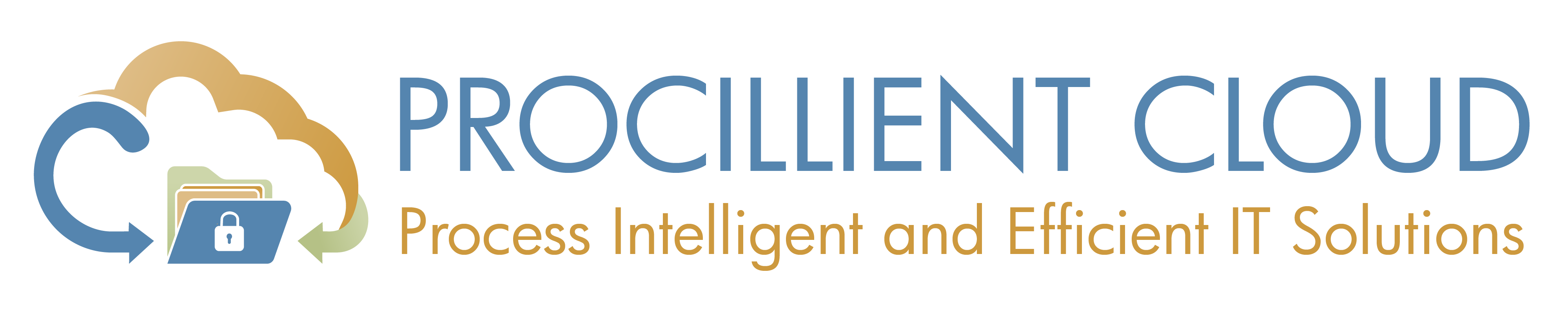 Procillient Cloud, Process Intelligent and Efficient IT SolutionsProcess Intelligent and Efficient IT Solutions